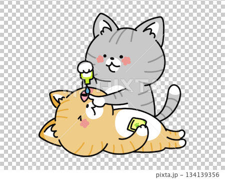 貓咪正在滴眼藥水（白色輪廓線） 134139356