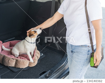 The owner strokes the dog sitting on a bed in the trunk of the car.  134140382