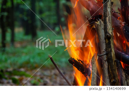 Campfire burning brightly in a forest during a cool evening under the trees Campfire burning brightly in a forest during a cool evening under the trees 134140699