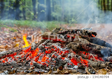 Firewood burns brightly in a forest clearing creating an inviting warmth and illuminating the surrounding trees during autumn Firewood burns brightly in a forest clearing creating an inviting warmth and illuminating the surrounding trees during autumn 134140704