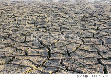 Barren landscape featuring cracked earth under harsh sunlight during drought condition 134140726