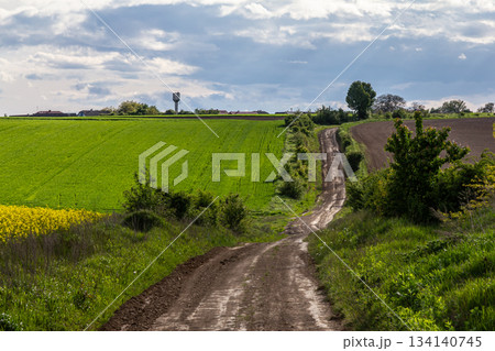 Rural landscape with a dirt road curving through green fields under a cloudy sky near a small town 134140745