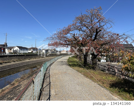 名古屋市北区から犬山市まで流れる「合瀬川」の遊歩道 名古屋市北区から犬山市まで流れる「合瀬川」の遊歩道 134141160