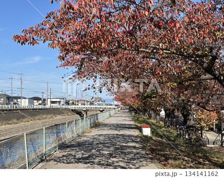 名古屋市北区から犬山市まで流れる「合瀬川」の遊歩道 名古屋市北区から犬山市まで流れる「合瀬川」の遊歩道 134141162