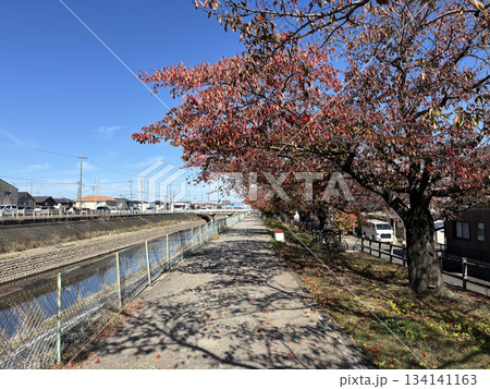 名古屋市北区から犬山市まで流れる「合瀬川」の遊歩道 名古屋市北区から犬山市まで流れる「合瀬川」の遊歩道 134141163