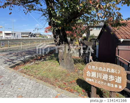 名古屋市北区から犬山市まで流れる「合瀬川」の遊歩道 名古屋市北区から犬山市まで流れる「合瀬川」の遊歩道 134141166