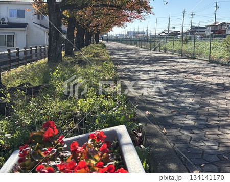 名古屋市北区から犬山市まで流れる「合瀬川」の遊歩道 134141170