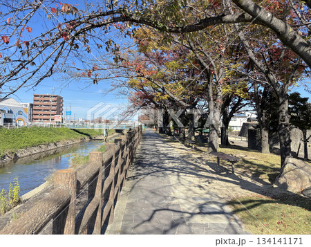 名古屋市北区から犬山市まで流れる「合瀬川」の遊歩道 134141171