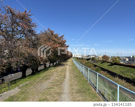 名古屋市北区から犬山市まで流れる「合瀬川」の遊歩道 名古屋市北区から犬山市まで流れる「合瀬川」の遊歩道 134141185
