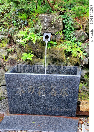 創建は1161年…富士山開山式・閉山式も行われる『新橋浅間神社』の【木の花名水】 134141267