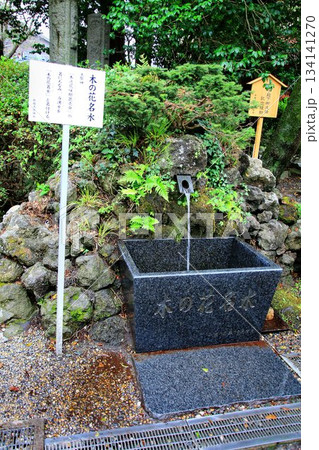 創建は1161年…富士山開山式・閉山式も行われる『新橋浅間神社』の【木の花名水】 134141270