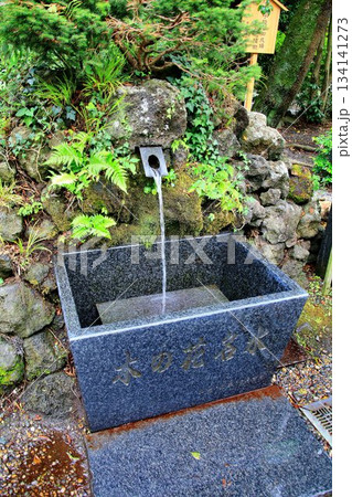 創建は1161年…富士山開山式・閉山式も行われる『新橋浅間神社』の【木の花名水】 134141273