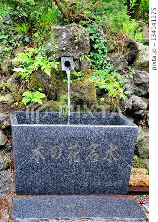 創建は1161年…富士山開山式・閉山式も行われる『新橋浅間神社』の【木の花名水】 134141275