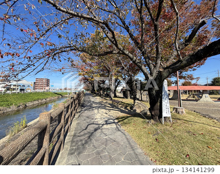 愛知県北名古屋市の合瀬川沿いにある「コッツ山公園」 愛知県北名古屋市の合瀬川沿いにある「コッツ山公園」 134141299