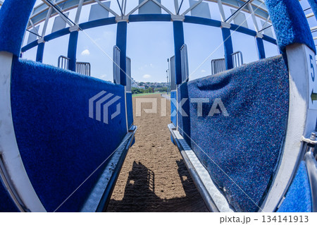Horse Racing Starting Gate Inside Perspective Horse Racing Starting Gate Inside Perspective 134141913