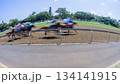 Horse Racing Motion Speed Blur Action Horse Racing Motion Speed Blur Action 134141915
