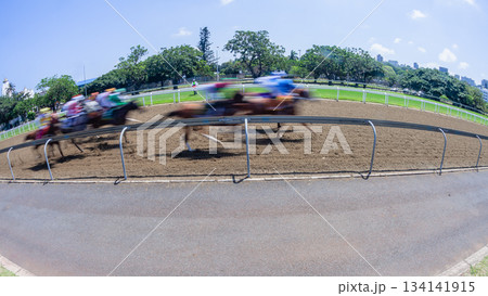 Horse Racing Motion Speed Blur Action 134141915