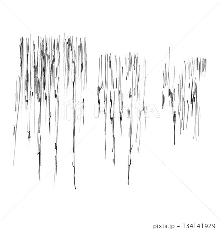 A set of three evergreen vertical vines. Isolated pencil illustration for wallpaper, eco-projects, nature reserve websites, and restaurant and hotel interior design. A set of three evergreen vertical vines. Isolated pencil illustration for wallpaper, eco-projects, nature reserve websites, and restaurant and hotel interior design. 134141929