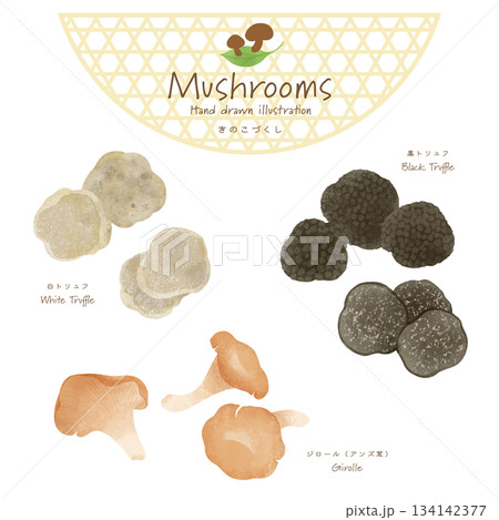 世界のきのこづくしベクターセット＜白トリュフ・黒トリュフ・ジロール＞ 134142377