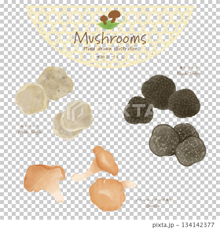世界のきのこづくしベクターセット＜白トリュフ・黒トリュフ・ジロール＞ 134142377