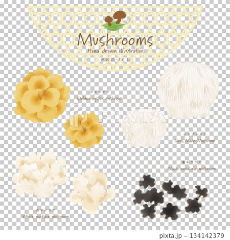 きのこづくしベクターセット＜タモギダケ・ヤマブシタケ・白マイタケ・黒キクラゲ＞ 134142379