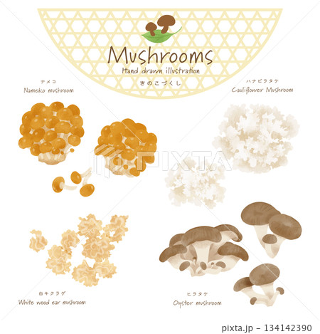 きのこづくしベクターセット＜ナメコ・ハナビラタケ・白キクラゲ・ヒラタケ＞ 134142390