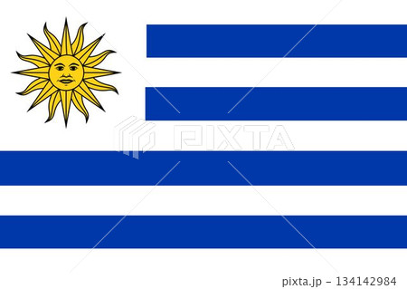 Uruguay national flag is being shown full-width in flat vector style with transparent background 134142984