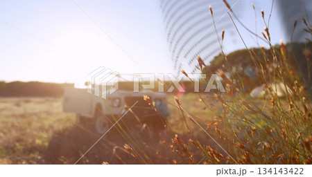 Showing tall dry grass stalks swaying in rural meadow at sunset, with off-road vehicle, copy space 134143422