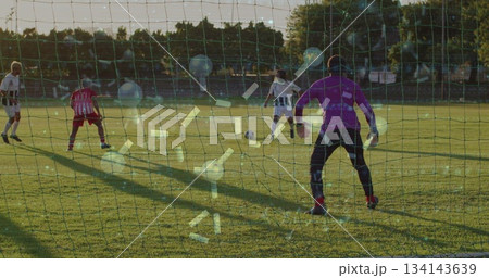Diving goalkeeper in purple jersey, black pants guarding goal on grass pitch, with soccer ball 134143639