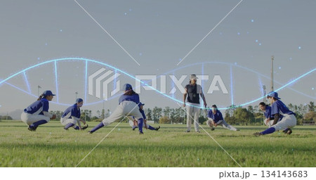 Stretching coach and blue-jersey players lunging on baseball field, with DNA-helix overlay Stretching coach and blue-jersey players lunging on baseball field, with DNA-helix overlay 134143683