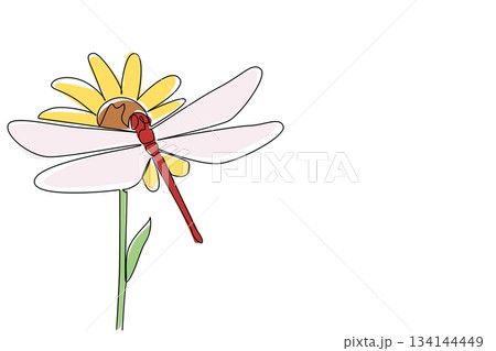 Single line drawing of a dragonfly resting gently on daisy petals in a top-view perspective, reflecting environmental beauty. This nature concept artwork represents National Dragonfly Day 134144449