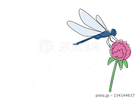 Continuous line drawing portraying a dragonfly perched delicately on a daisy flower in side view, capturing elegance of wildlife. This nature concept illustration is themed for National Dragonfly Day. 134144637