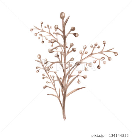 A bouquet of steppe flowers. Isolated watercolor illustration for interior design, eco-projects, travel agency websites and brochures, corporate identity, and apparel printing. 134144833