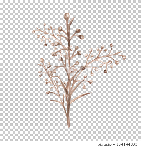A bouquet of steppe flowers. Isolated watercolor illustration for interior design, eco-projects, travel agency websites and brochures, corporate identity, and apparel printing. 134144833