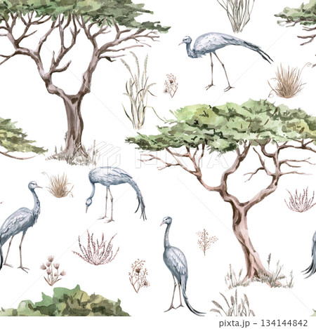 A seamless pattern with grey African cranes among trees and grasses. A watercolor illustration of the African savannah for eco-projects, posters, hotel designs, and nature reserve websites. 134144842