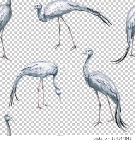 Seamless pattern with grey African cranes. Watercolor illustration of the African savannah for eco-projects, posters, hotel design, and nature reserve websites. Seamless pattern with grey African cranes. Watercolor illustration of the African savannah for eco-projects, posters, hotel design, and nature reserve websites. 134144848