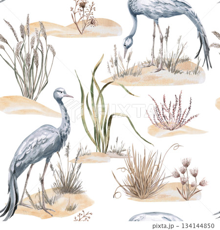 A seamless pattern with grey African cranes amidst grasses and flowers. A watercolor illustration of the African savannah for eco-projects, posters, hotel designs, and nature reserve websites. 134144850