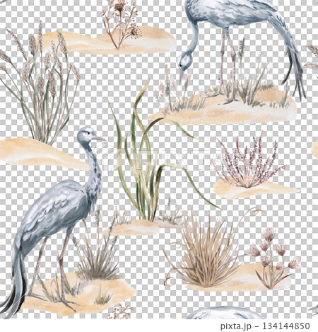A seamless pattern with grey African cranes amidst grasses and flowers. A watercolor illustration of the African savannah for eco-projects, posters, hotel designs, and nature reserve websites. 134144850
