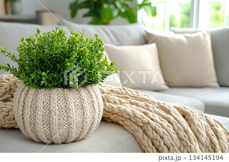Scandinavian Minimalist Interior With Soft Natural Light 134145194