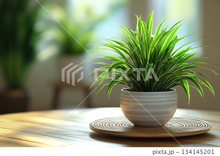 Scandinavian Minimalist Interior With Soft Natural Light 134145201