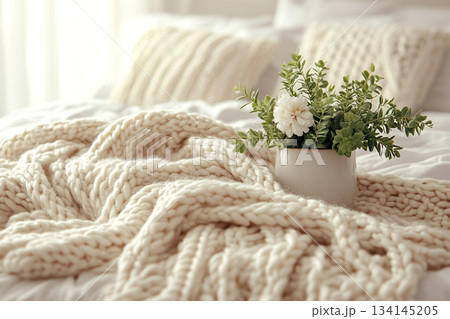 Scandinavian Minimalist Interior With Soft Natural Light 134145205