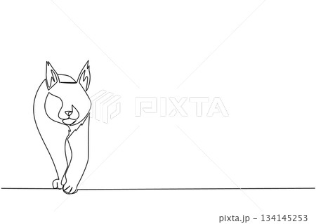 Continuous line drawing of a lynx walking with alert posture, showcasing its distinctive tufts and wild elegance for International Lynx Day, symbolizing animal awareness and wildlife conservation 134145253
