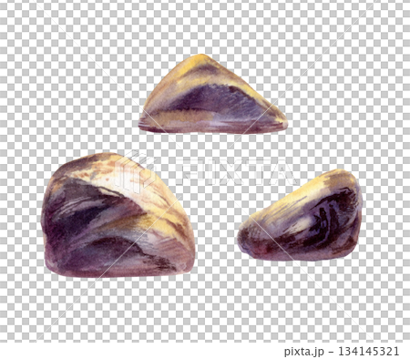 Stones set bathed in sunset light,casting violet shadows.Hand drawn isolated illustration painted in soft watercolor with bold contrast,natural scene for zen design,spa branding,beach landscape 134145321