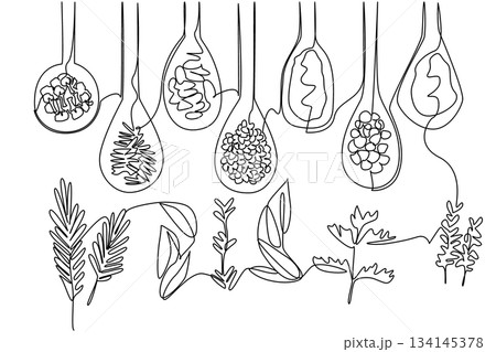 Single line drawing featuring spoons filled with various herbs and spices, representing culinary diversity, designed as a food concept illustration for National Herbs and Spices Day celebration. 134145378