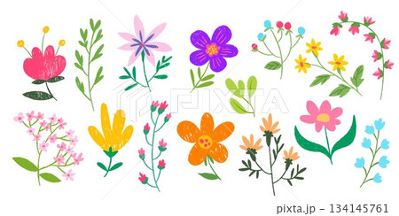 Colorful crayon flowers set isolated on white Colorful crayon flowers set isolated on white 134145761