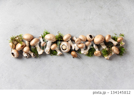 Fresh Brown Mushrooms with Moss on Light Gray Background 134145812