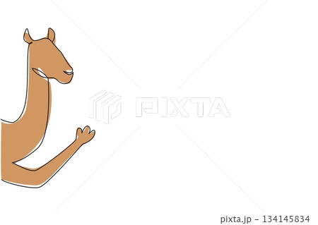 One line drawing of a camel waving its leg behind a wall, symbolizing desert life in a nature concept for international desert day theme, done in minimalist vector sketch style. 134145834