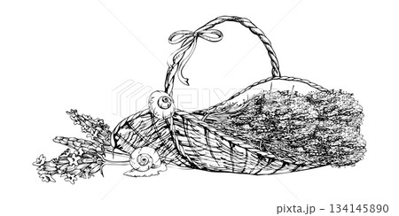 Rustic oval basket of lavender lavandula bundles, bow and garden snails, single flower stalks. Isolated illustration hand drawn in vector ink. Wellness spa gifts, soap or candle sets, bedroom charm Rustic oval basket of lavender lavandula bundles, bow and garden snails, single flower stalks. Isolated illustration hand drawn in vector ink. Wellness spa gifts, soap or candle sets, bedroom charm 134145890