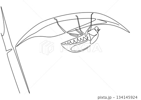 Single line drawing of a june bug hanging under a leaf, reflecting nature concept and June Bug Day theme, emphasizing ecological awareness, insect life cycles, and environmental harmony. 134145924