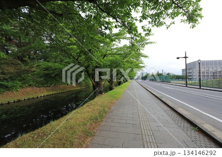 青森　弘前　弘前城　三之丸付近の外濠 134146292